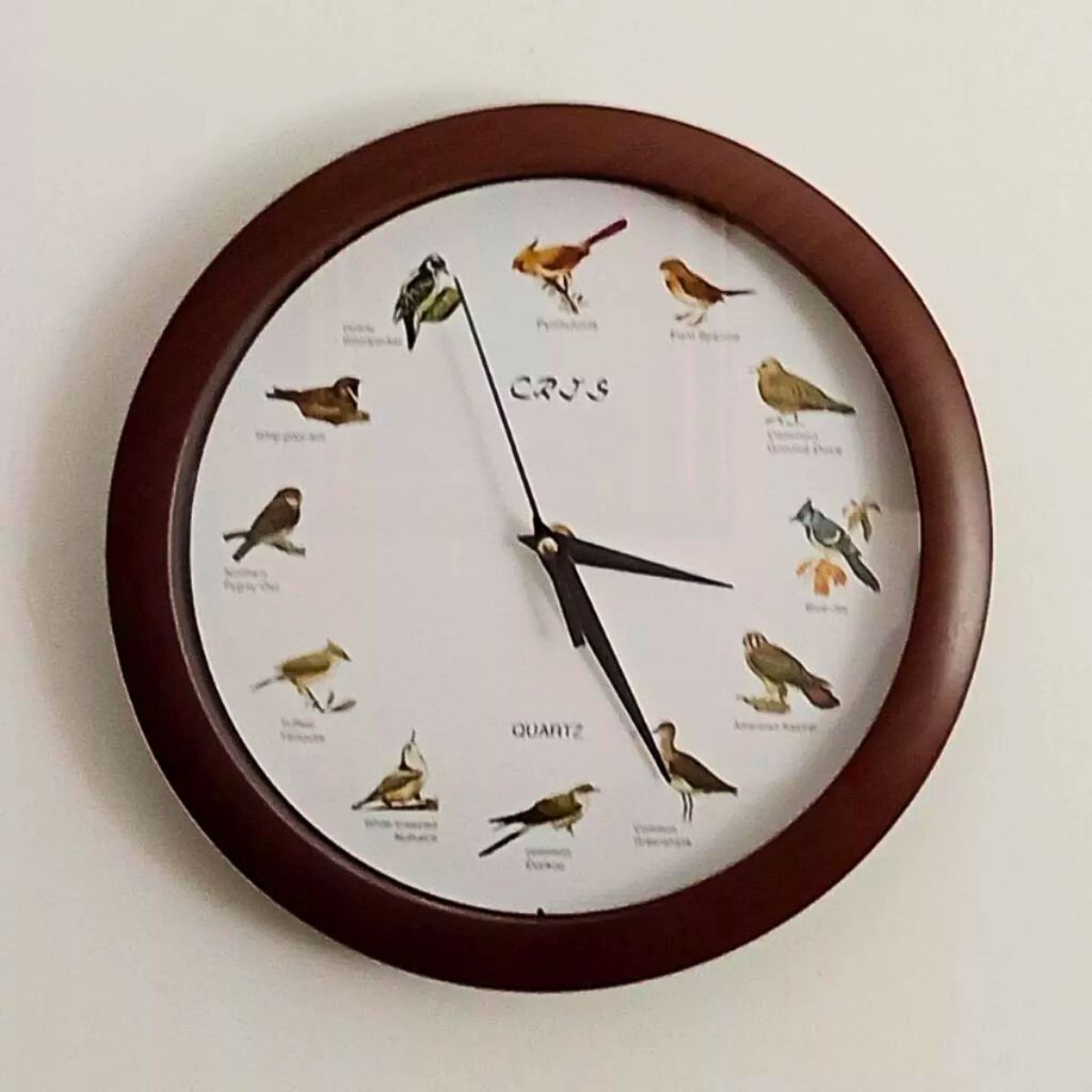 Relógios de Parede Diferentes: Onde Comprar | BuscaProdutos