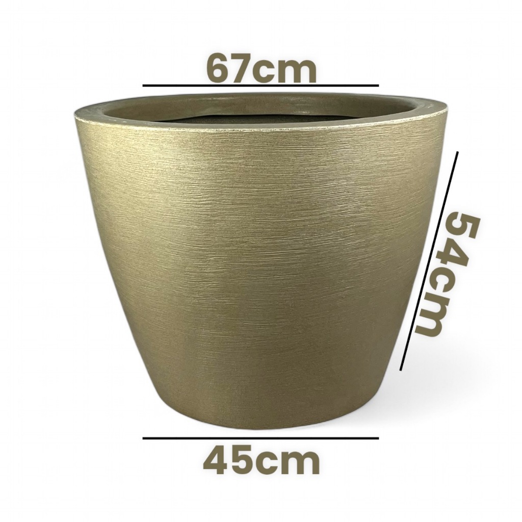 Jabuticaba Gigante: Onde Comprar | BuscaProdutos