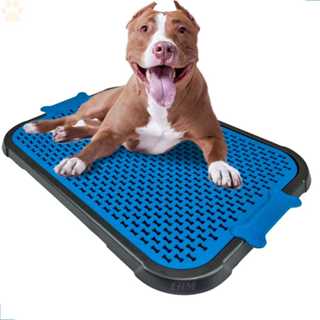 Tapete Higiênico Sanitário Xixi Pet com Grade Tamanho GG; 68cmX45cmX3cm; 1 ou 2 un.. Cães/Gato/Pet. em Oferta na Shopee