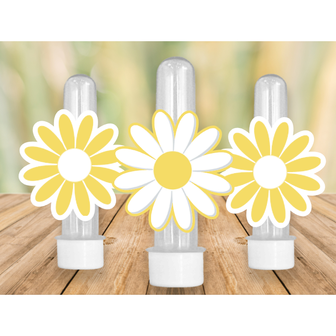 Apliques MARGARIDAS 6x4cm – Lembrancinha e Decoração  Festa - SORTIDOS