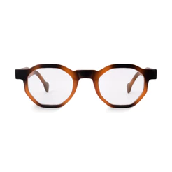 Óculos de Grau Hexagonal Tori Tortoise Clássico Armação Premium Retrô Unissex Leve Elegante