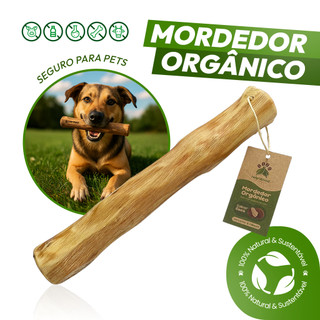Mordedor para cachorro Sustentável Natural Madeira de Café Sabor Coco Brinquedo Rústico P…