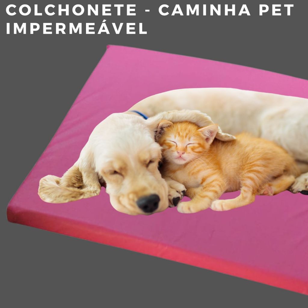 caminha pet cachorro e gato colchonete impermeável, macio pequeno grande em Oferta na Shopee