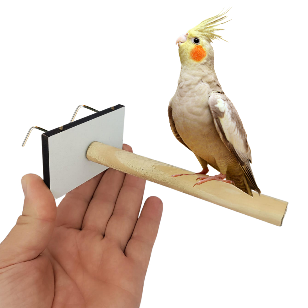 Poleiro para Gaiola e Viveiro – Ideal para Calopsitas, Periquitos, Agapornis e Passarinhos em Oferta na Shopee