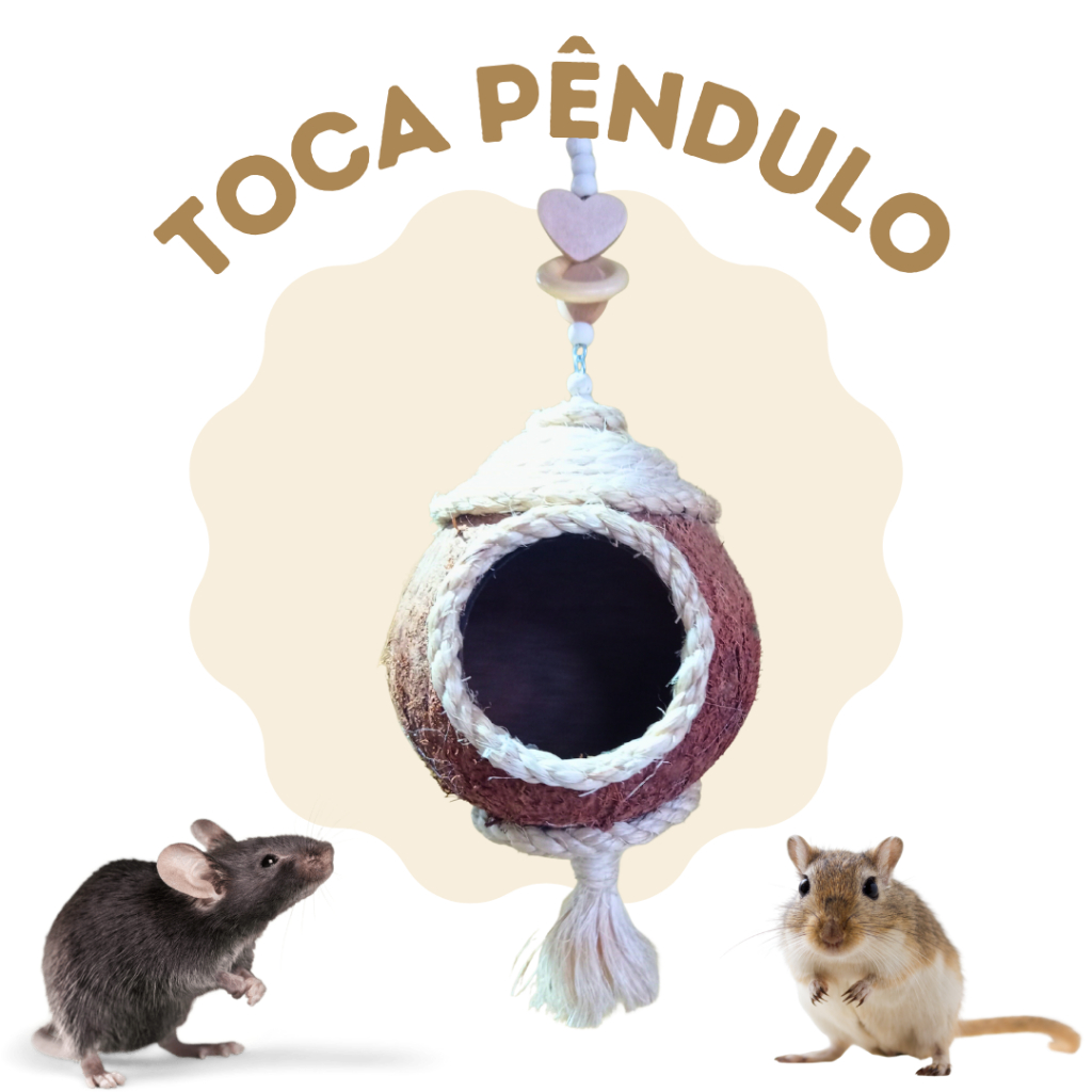 Casca de Coco Seco: Onde Comprar | BuscaProdutos