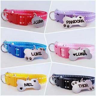 Coleira para cachorro com plaquinha de identificação personalizada em Oferta na Shopee