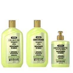 Kit Shampoo e Condicionador Antiqueda 430 ml + Creme de Pentear Antiqueda 320 ml Gota Dourada