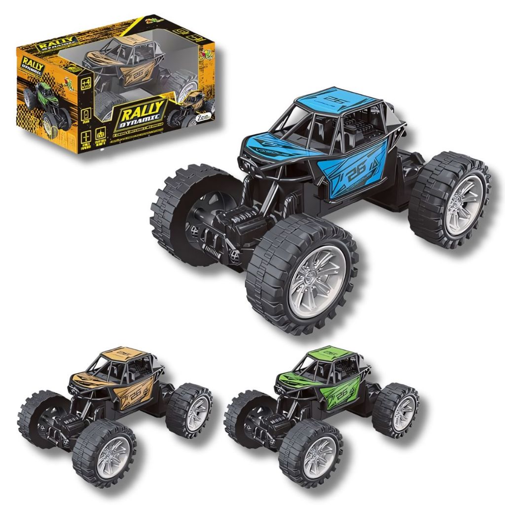 Carrinho Rally Controle Remoto Presente Menino Brinquedo Carro Frente Ré