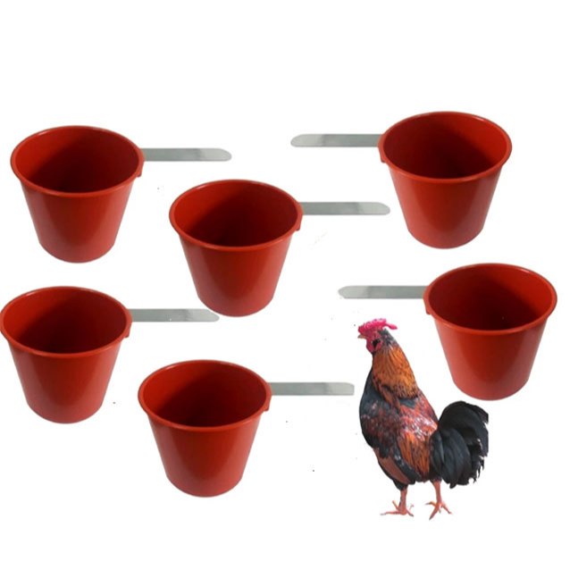 Kit Comedor 500 ml Bebedor Aves Galinheiro Codornas  Pote Pegar Ração  Com Alça Galinha Pato Galo