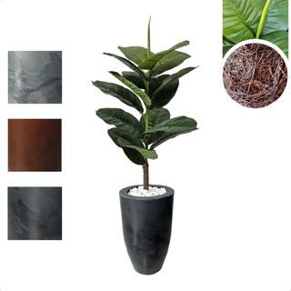 Planta Ficus Lyrata Verde Figueira Vaso Cone Marmore Pedra em Oferta na Shopee