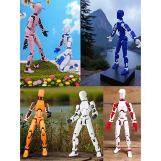 Impressão Em 3D Ação Figura Dummy 13 Montagem Modelo 14 CM Brinquedos Articulado Infantis Presente Cores Variadas em Oferta na Shopee