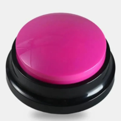Botão Rosa Gravador de Voz Interativo - Recurso Pedagógico Sala de Aula Atividades Educativas