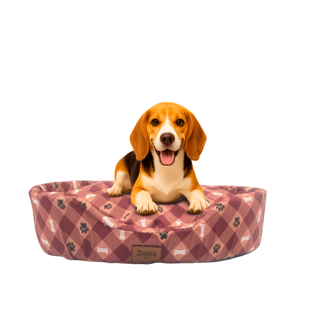 Caminha Cachorro Ou Gato Cama Pet Europa Zoola Pet Redonda Co Ortável Estampas Vivas — R$ 56,90 em Shopee, 43% OFF