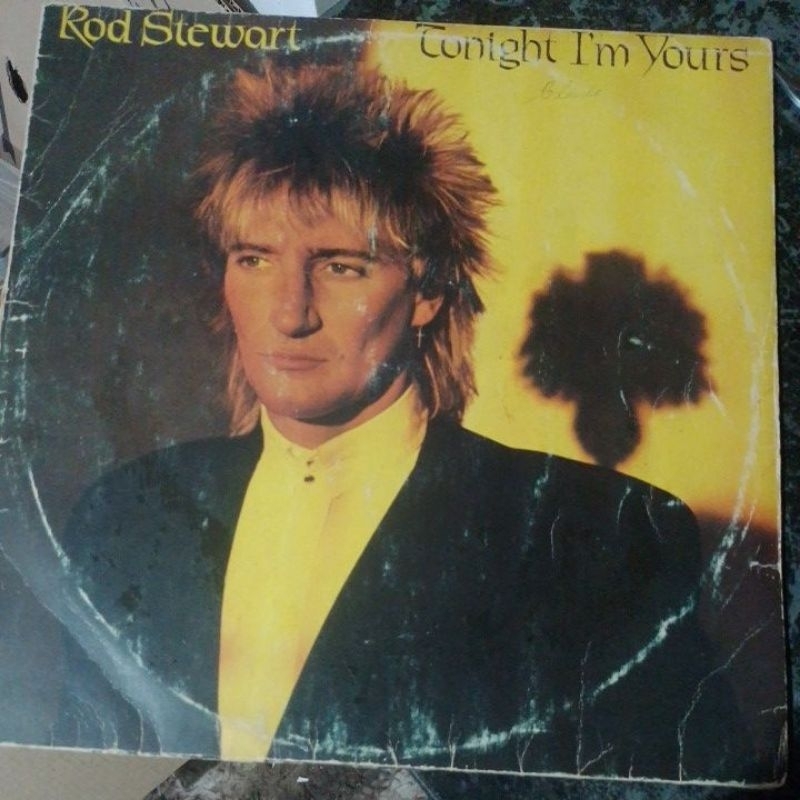 LP ROD STEWART -TONIGHT I'M YOURS -1982 COM ENCARTE