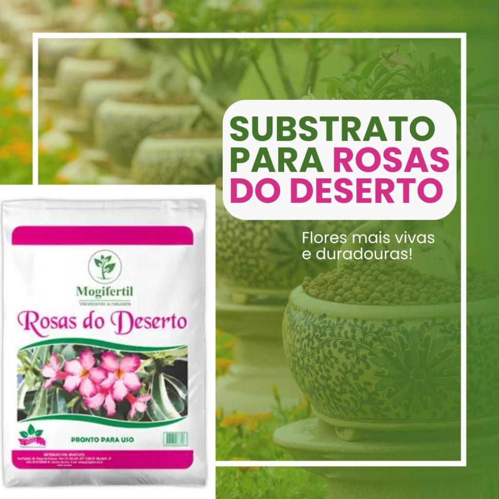 Substrato  Rosa Do Deserto Mogifertil 4kg em Oferta na Shopee