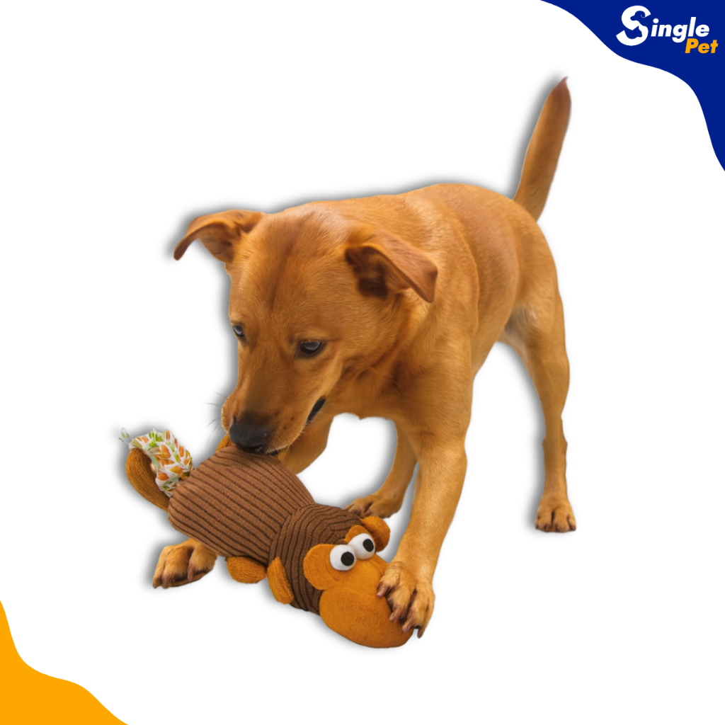 Brinquedo Pelucia Macaco Marrom Escuro com Corda Savana: Onde Comprar | BuscaProdutos