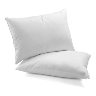 Kit 2 Travesseiros Plumas de Ganso Descanso Antiacaro 70x50cm