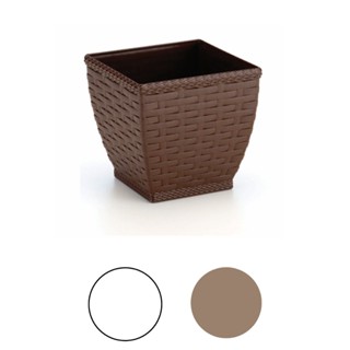Vaso Rattan Quadrado M2 Cachepos Violeta Suculenta em Oferta na Shopee
