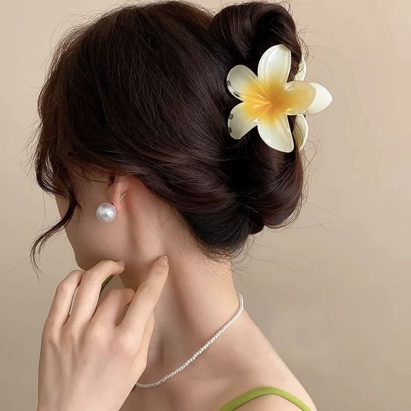 Garra Cabelo: Guia Completo e Onde Comprar | BuscaProdutos