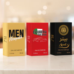 Kit 03 Perfumes Masculinos Ref Importada 100ml