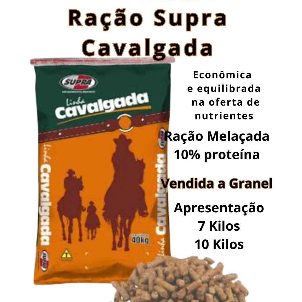 O que é Cavalos a Venda? Guia e Onde Comprar | BuscaProdutos