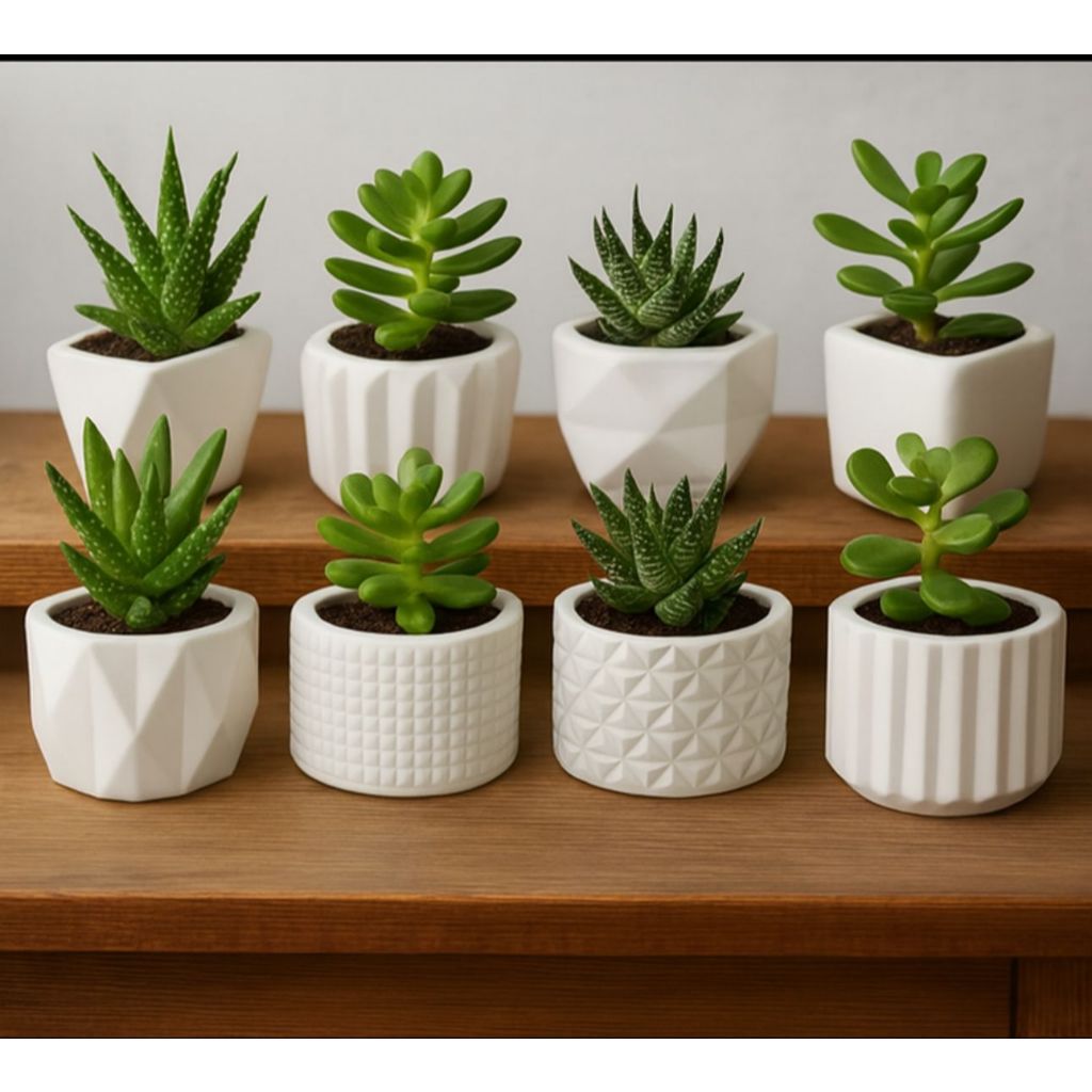 KIT VASINHOS DE GESSO DECORATIVOS PARA CACTOS E PLANTAS ARTIFICIAIS - ENVIO IMEDIATO em Oferta na Shopee
