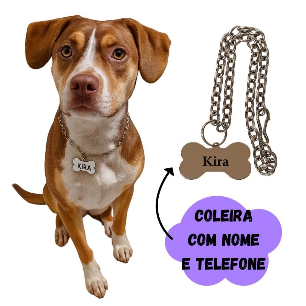 Coleira de Identificação para Cachorro Gargantilha com Nome e Telefone em Oferta na Shopee