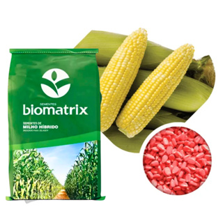 Semente de milho BM 3066 BTMAX Resistente - 2.000 sementes em Oferta na Shopee
