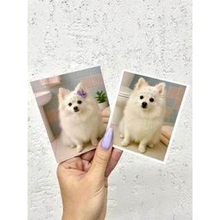 Revelação de Fotos 8x10cm Papel Fujifilm - 12 unid em Oferta na Shopee