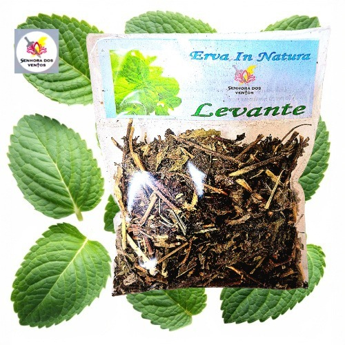 Levante - Erva Seca/ Erva in Natura