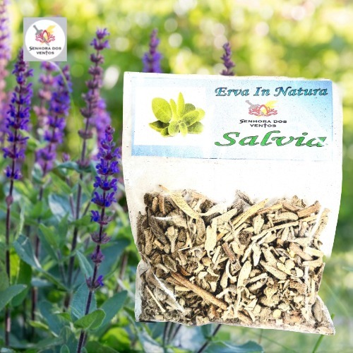 Salvia - Erva Seca/ Erva in Natura