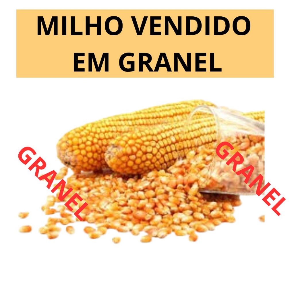 Milho em Grão Seco para Ração Aves, Galinhas, Frangos e Animais em Oferta na Shopee