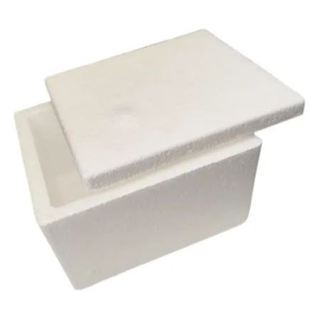 Caixa Térmica de Isopor para Insulina Medicamentos Sorvete Alimentos 250gr em Oferta na Shopee