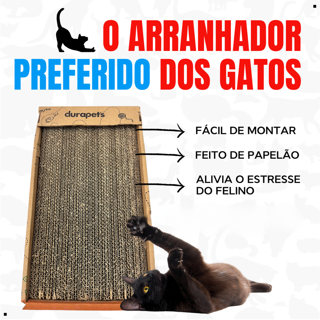 Brinquedo Pet Arranhador Interativo Para Gatos Rampa com 2 Bolinhas Exclusivo