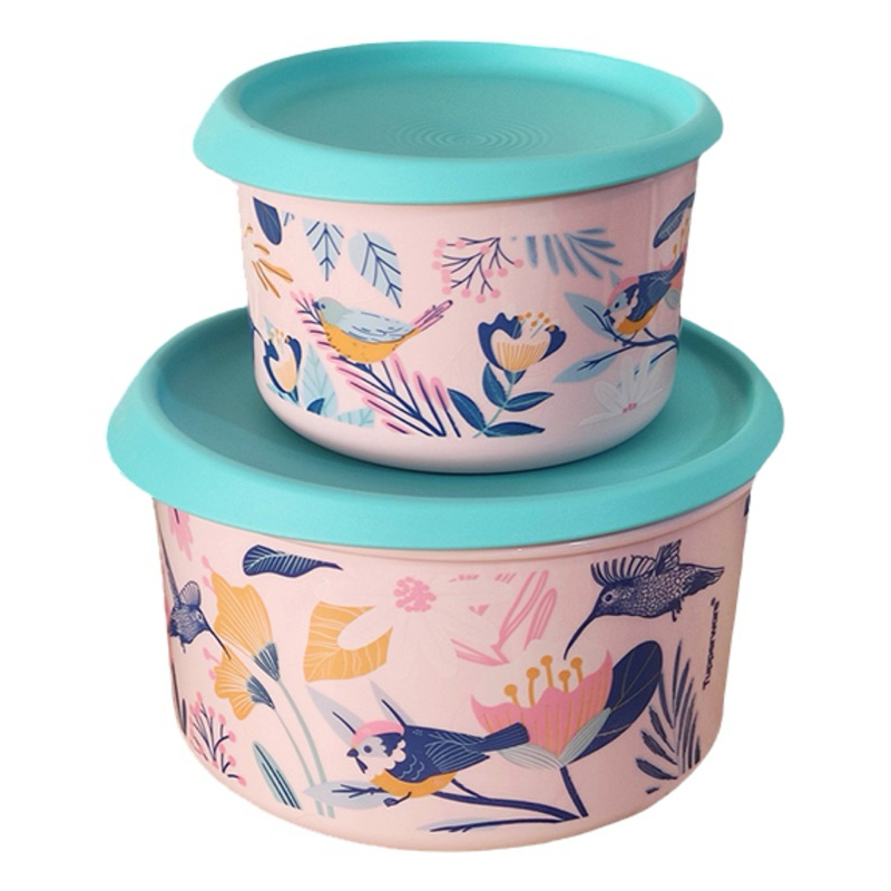 Kit Pote Master 2 peças Tupperware