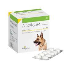 Antibiotico para Caes: Onde Comprar | BuscaProdutos