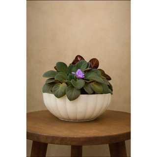 Vaso para Plantas Bacia Ondulada 25 cm estilo Fibra de Vidro Cachepô