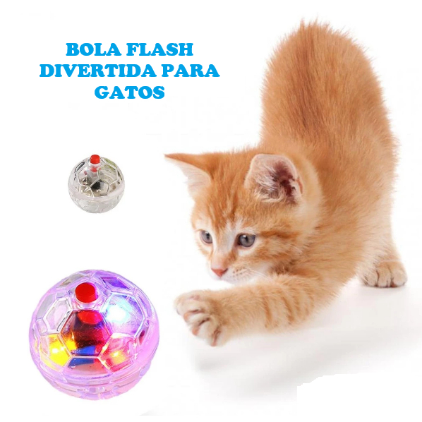 Brinquedo Flash Ball: Onde Comprar | BuscaProdutos