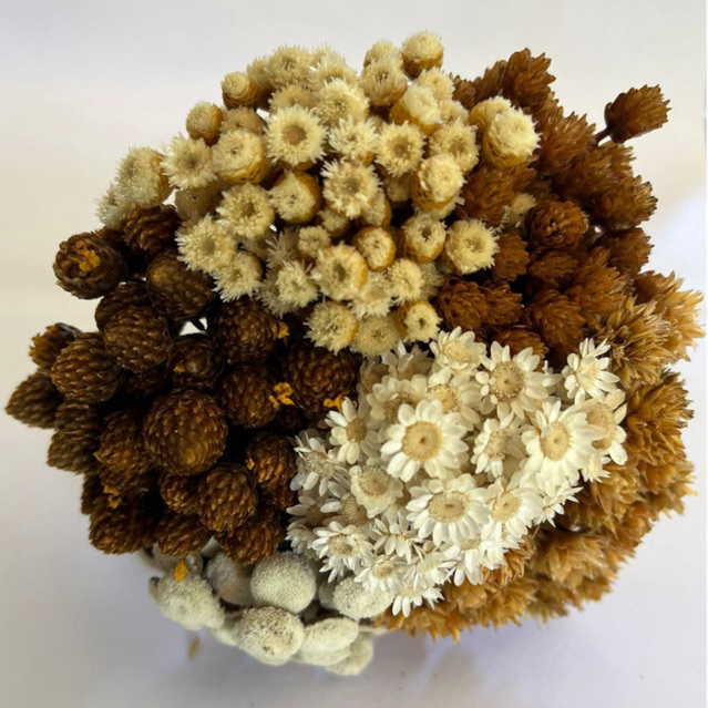 Buquê Mix Premium , Mix de Sempre Vivas, Flores secas Mix 450 unidades