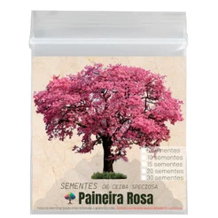 Sementes para Mudas e Árvores de Paineira Rosa Ceiba Speciosa Semente Decor