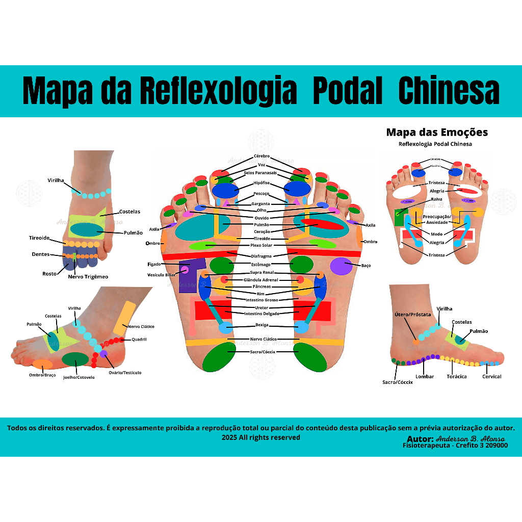 Pé Direito Mapa Podal De Reflexologia Mapa Grande Hd 65x100cm
