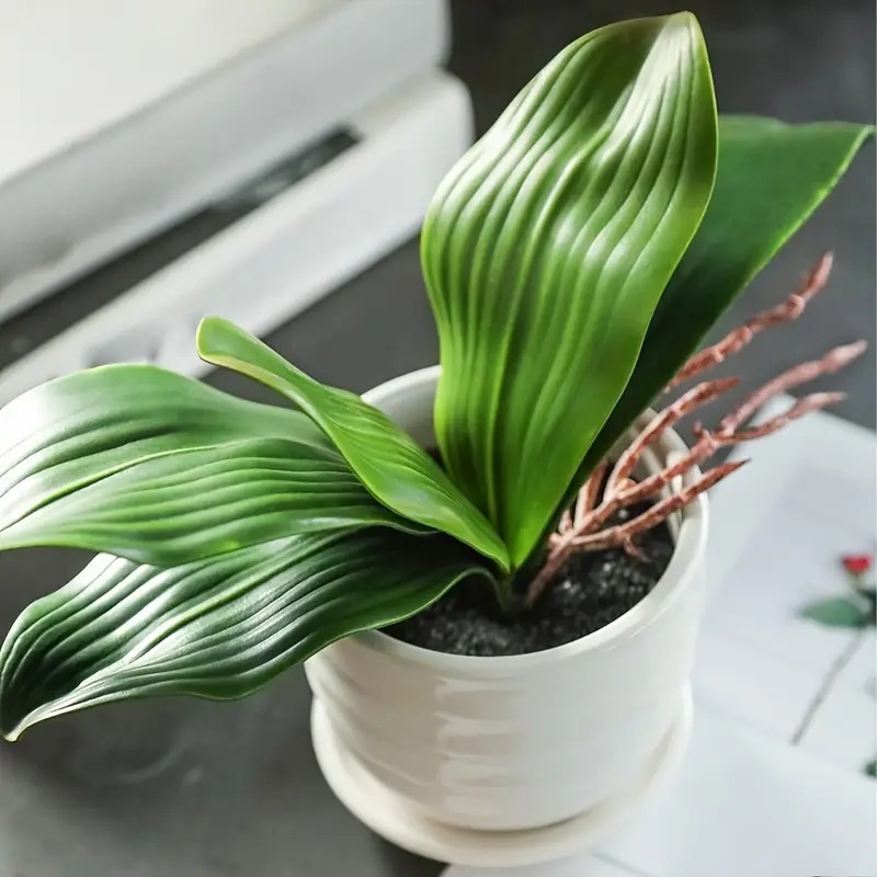 Folha De Orquídea Raízes 26cm Arranjos Artificiais Lindas Flores Realista Decoração Casa - LAR800922
