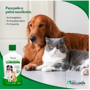 Shampoo e Condicionador Kelldrin 5 em 1 Clorexidina