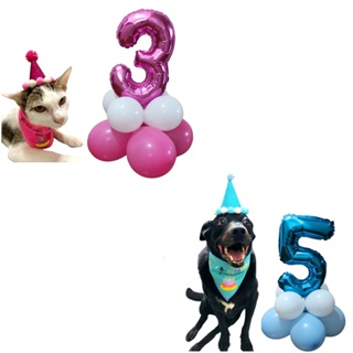 Aniversário Pet Chapéu + Bandana + Bexiga e Balão Metalizado de Número à Escolha- Aniversario em casa Gato Cachorro em Oferta na Shopee