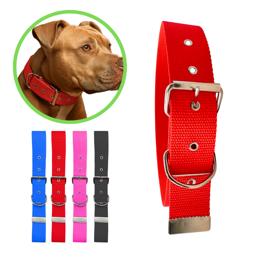 Coleira reforçada cães grande porte pitbull rottweiler pastor alemão cane corso labrador dobermann golden retriever