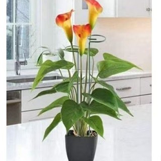 Kit 10 Hastes Suporte para Orquídeas – Tutor Aramado de Flores e Plantas