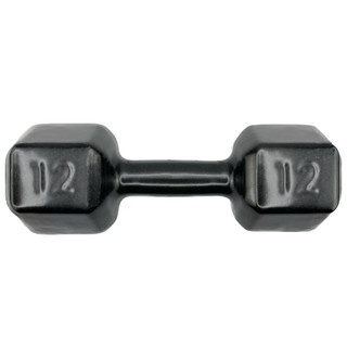 Halter Sextavado Emborrachado 12kg Academia Musculação Treino em Casa Crossfit Funcional Peso Fisioterapia