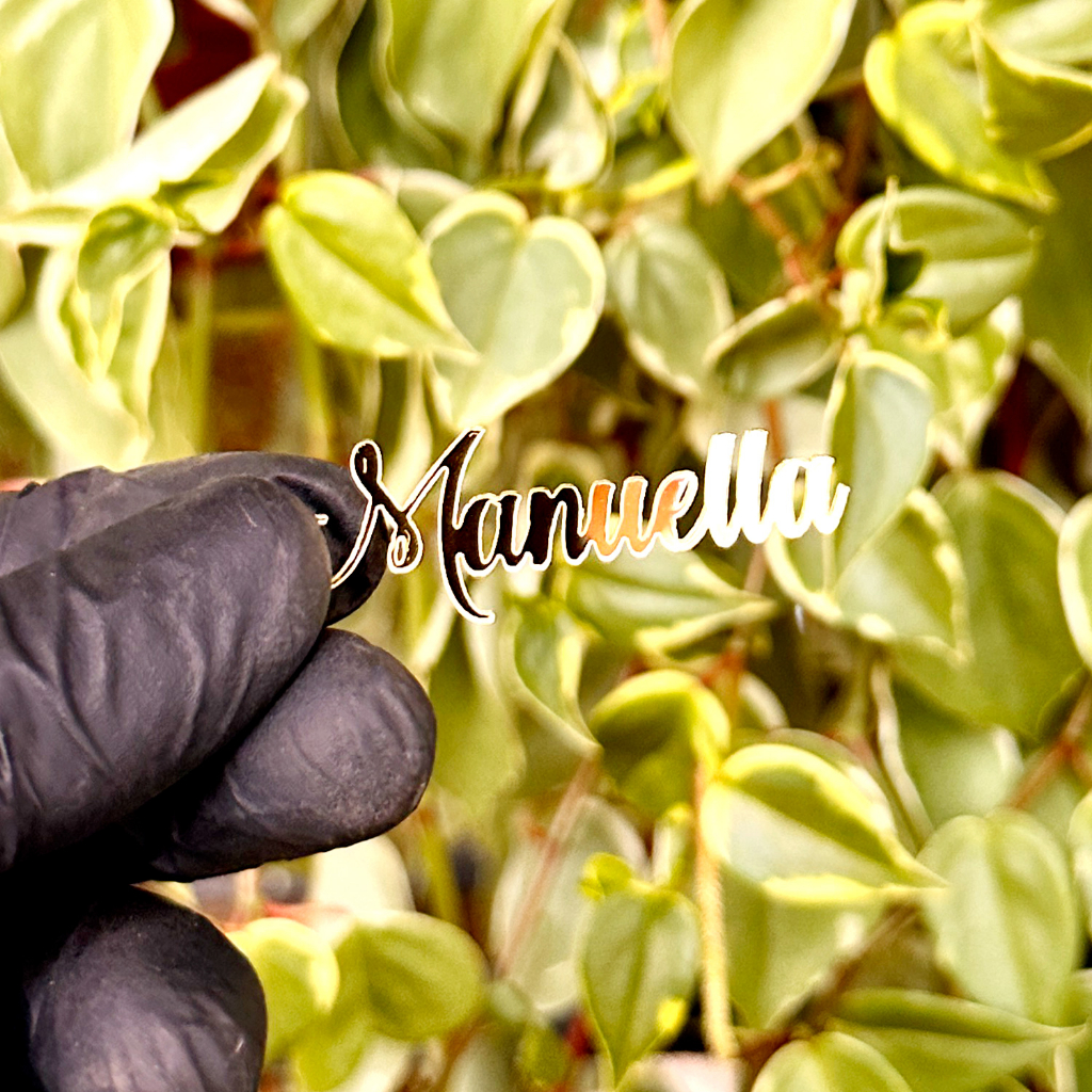 Nome em Acrilico Espelhado 5cm Luxo DecoraçãoFesta 15 anos Lembrancinha Laço  Porta kit kat em Oferta na Shopee