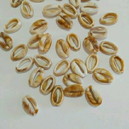 Búzios Tam 20m Para Fazer Colar pulseira Com 20 Unidades Vl 8,59