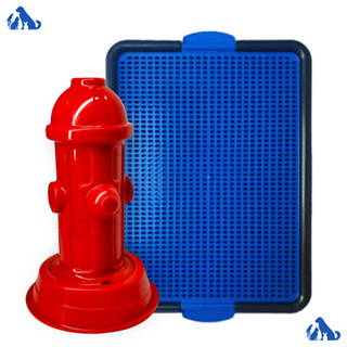 Tapete Higiênico Sanitário + Hidrante Canino Para Cães em Oferta na Shopee